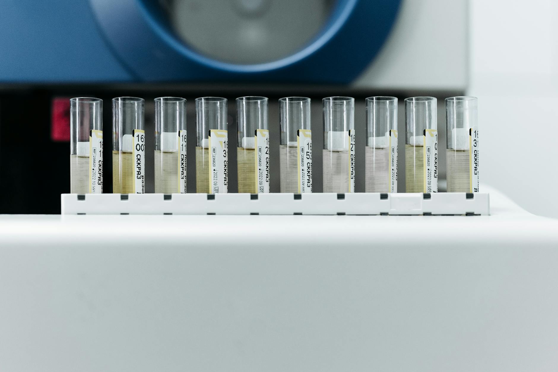 Reagenzgläser mit Beschriftung im Labor